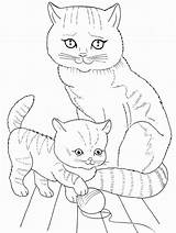 Coloring Pages Realistic Kitten Cat Visit Colouring Cats Life sketch template