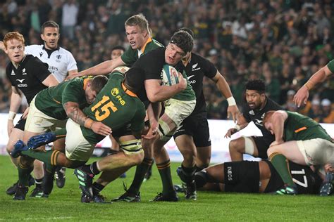 springboks  win rugby champs  prove world cup credentials