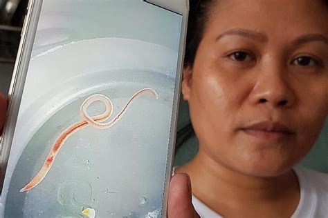 Earthworm In Tap Water At Amk Ave 10 Sam S Alfresco Coffee