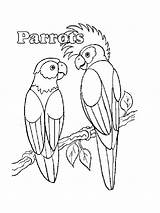 Parrot Coloring Pages Printable Pirate Realistic Parrots Getcolorings Animals Print Getdrawings sketch template