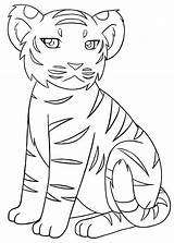 Tigre Cub sketch template