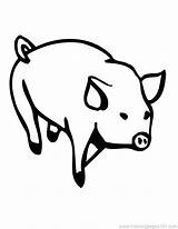 Pig Face Peppa Coloring Drawing Pages Willems Mo Clipart Getdrawings Clipartmag Baby Color sketch template