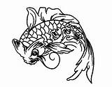 Koi Fish Coloring Neko Maneki Coloringcrew Colorear Pages Abundance Japan sketch template
