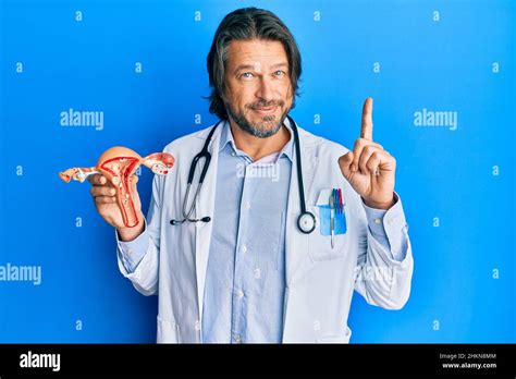 Middle Age Handsome Gynecologist Man Holding Anatomical Model Of Female