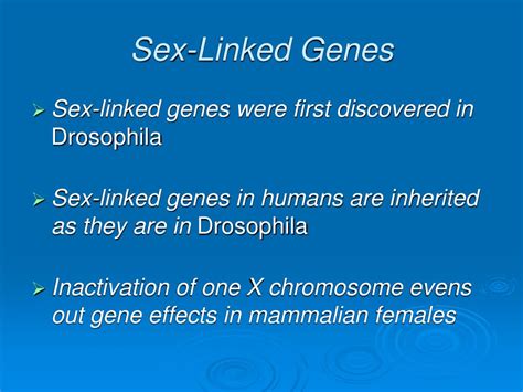 ppt genes chromosomes and human genetics powerpoint presentation