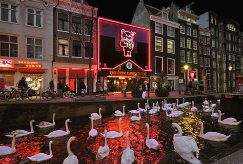 casa rosso amsterdam 2020 all you need to know before