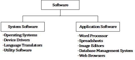 computer software system software  application software