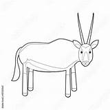 Oryx Gazelle sketch template