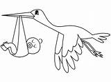 Coloring Pages Stork sketch template
