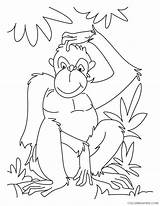 Coloring4free Chimpanzee 1084 sketch template