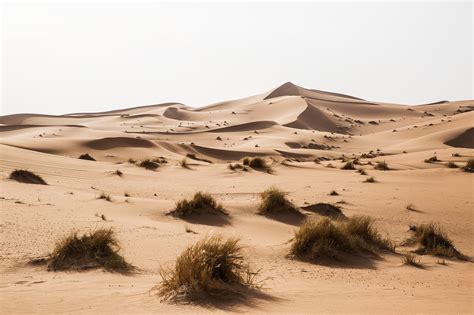 morocco desert  photo gallery  world  year