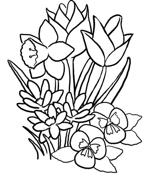 easy coloring pages  seniors teachcreativacom