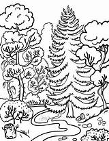 Coloring Forest Pages Coloringcafe Printable Sheets Printables Scenery sketch template