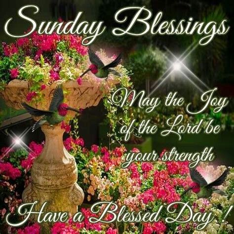 Sunday Blessings Have A Blessed Day Quote Pictures Photos