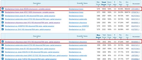 max score  total score researchgate