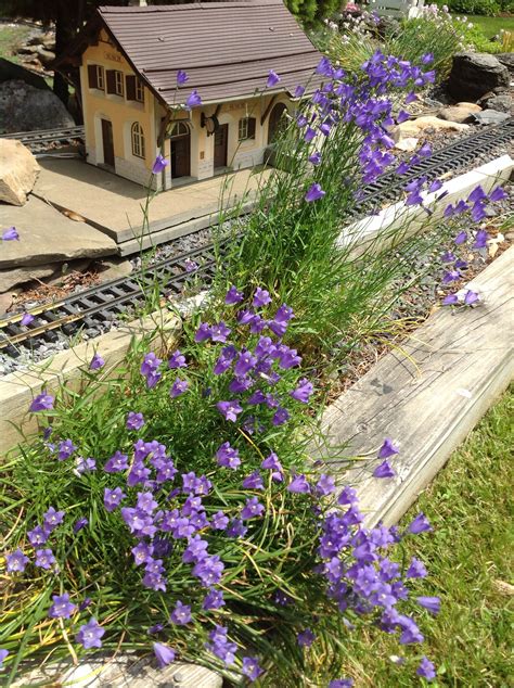 pin by laverne garwood on 2015 garden garden railroad
