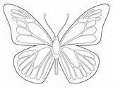 Butterfly Outline Kids Printable Drawing Drawings Butterflies Blank Beautiful Template Projects Color Coloring Grade Symmetry Simple Pattern sketch template