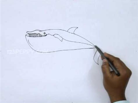 draw  baleen whale youtube