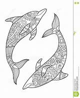 Dauphin Mandala Coloriage Coloring Dolphin Pages Drawing Painting Choose Board Books sketch template
