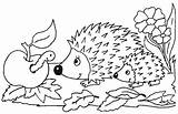 Hedgehog Coloring Animals Pages Printable Kb sketch template
