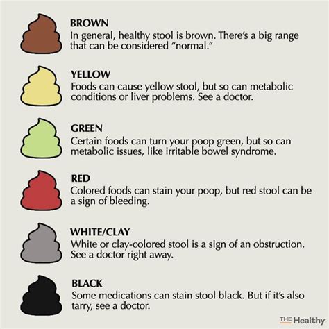 types of poop what doctors need you to know the healthy at readers digest