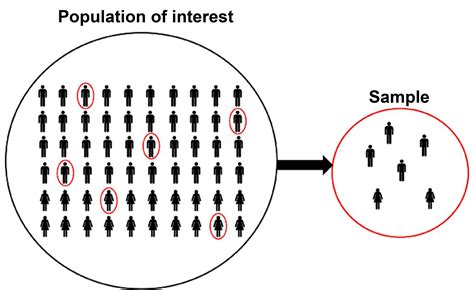 statistiek