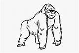 Gorilla Runescape Ape sketch template