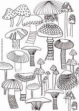 Adult Sheets Mushrooms Pilz Mandala Pilze Zeichnung Ausmalen Fungi Trippy Ausdrucken Doodle sketch template