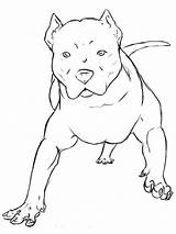 Bulldog Georgia Pitbull sketch template