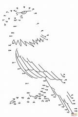 Dot Counting 3s Eagle Dots Skip Printable Bird Coloring Puzzle Main sketch template