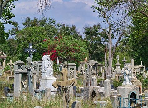 la batalla por rescatar el cementerio bella vista de barquisimeto