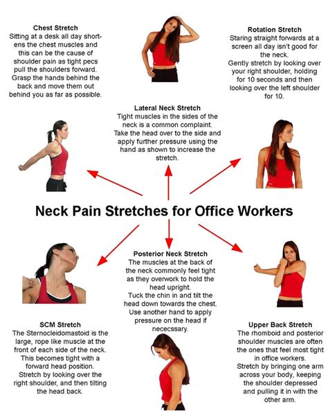 neck stretches for office workers atascadero chiropractor maximum health chiropractic