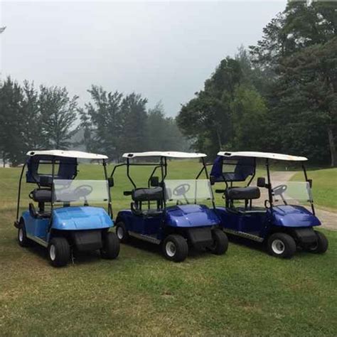 passenger oem golf cart buy  seater golf cart person golf cart