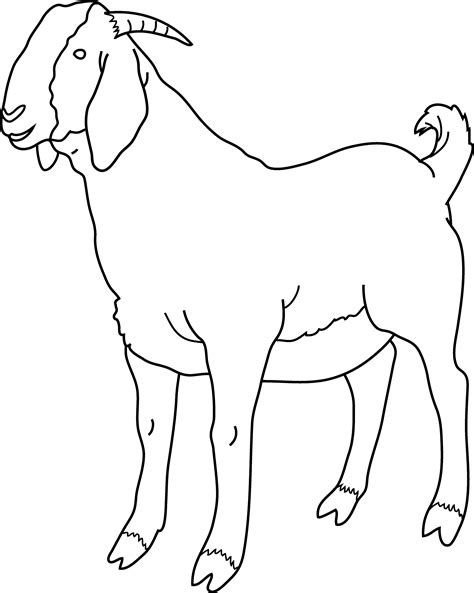 goat coloring page  clip art