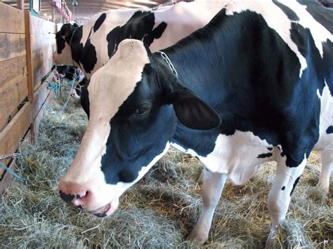 million   funding  canadian dairy industry farm grants farm funding