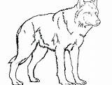 Wolf Coloring Pages Animal Arctic Jam Printable Color Print Getcolorings Polar sketch template