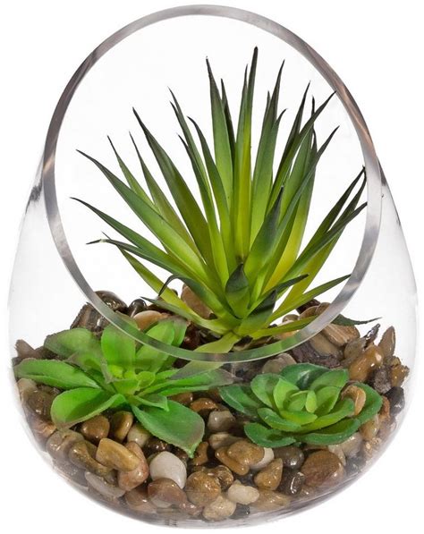 kunstpflanze sukkulenten arrangement glasschale hoehe cm