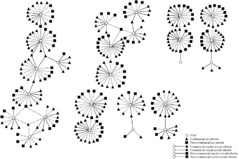 Seven Components Of Fsws Sexual Networks Download Scientific Diagram