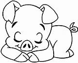 Pig Porco Everfreecoloring Schwein Beyblade Coloring4free Escolha Porcos sketch template
