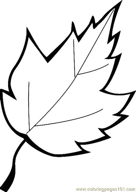 leaf coloring clipart   cliparts  images  clipground