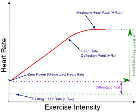 heart rate deflection fellrnrcom running tips