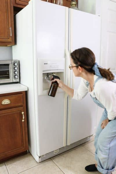 clean fridge water dispenser  ice maker