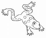 Coloring Frosch Kostenlos Ausdrucken Jumping Frogs Malvorlagen Ausmalbild Kiddo sketch template