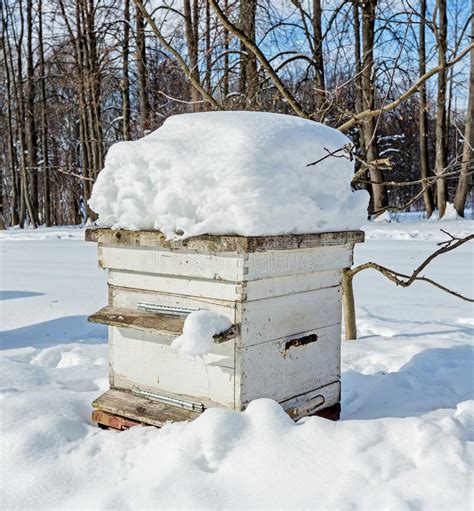 bijenkorf  de bijenstal  de winter zware vorst stock afbeelding image  tuin zwaar