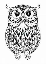 Owl Horned Great Drawing Clipartmag Coloring sketch template