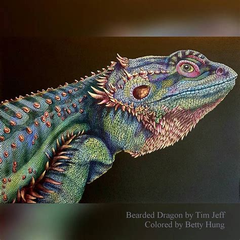color art  betty hung  instagram coloring  bearded dragon