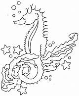 Coloring Printouts Animal Sea Seahorse Under Book Gif sketch template