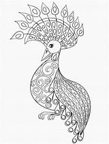 Peacock Coloring Pages Printable Adult Drawing Advanced Color Outline Colouring Holiday Bird Owl Pdf Print Adults Getcolorings Coloringbay Getdrawings Feather sketch template