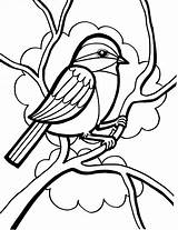 Sparrow Burung Mewarnai Coloring4free Bestcoloringpagesforkids Worm Perched sketch template