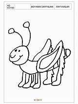 Ant Preschool Coloring Pages Printable sketch template